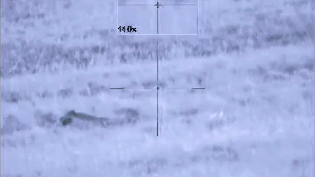 Pulsar n 355 смотреть онлайн