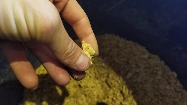 экструдированный корм. чем кормить поросят смотреть онлайн