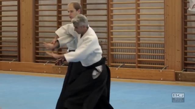 Aikido - Chudan tsuki /Jodan tsuk by Bruno Gonzalez смотреть онлайн