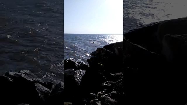 Кубанское водохранилище смотреть онлайн