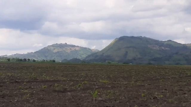 ROR смотреть онлайн