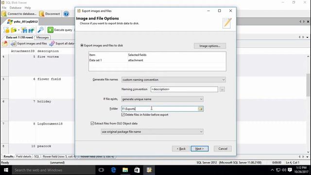 SQL Blob Viewer - an introduction смотреть онлайн