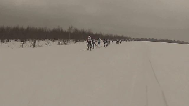 2017 03 18 Открытое первенство Александровского района по лыжным гонкам памяти Николая Молева смотреть онлайн