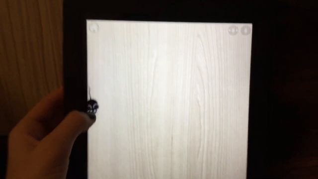 Приложение для котов на IPad