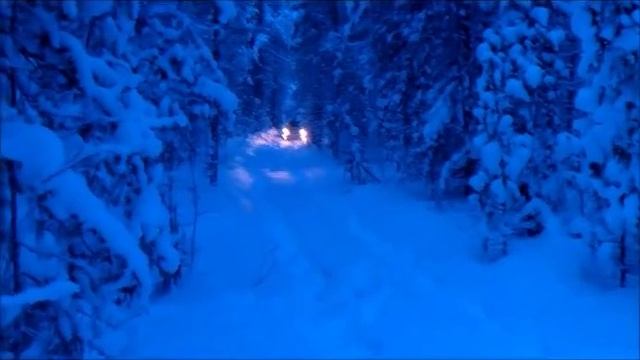 за рыбой на дастере смотреть онлайн