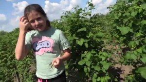 Готова принимать обвинения и оскорбления. ПЕРЕКРЁСТОК 16.05.23.