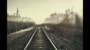 Лесоповал ( Соловьи )