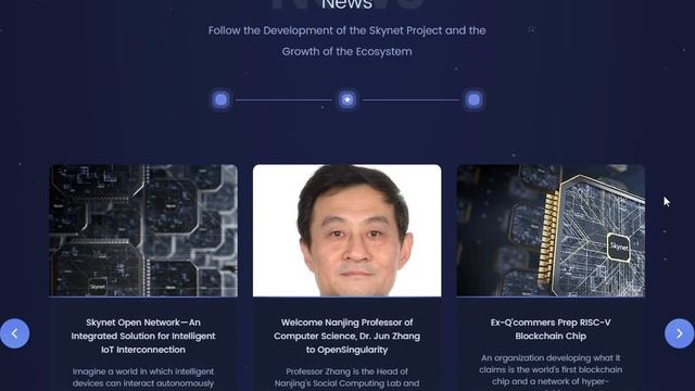 Skynet обзор сайта