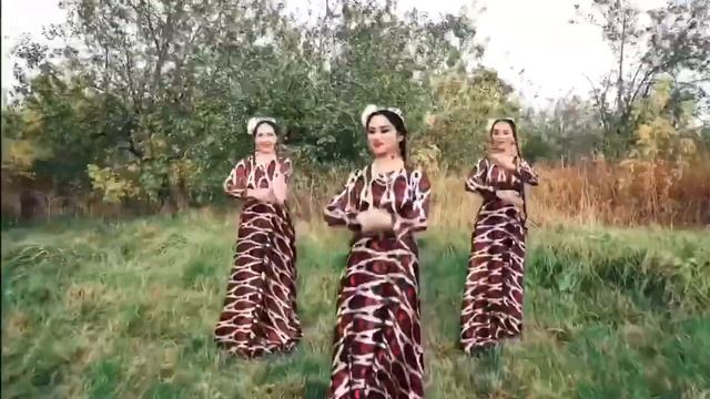 Красивый клип узбекский танец. Uzbek dance. смотреть онлайн