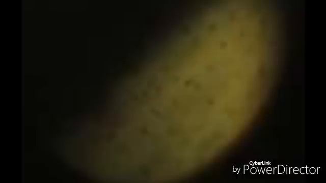 NIBIRU 🌎 PLANET X 🔴 NEW PLANET PHOTOGRAPHED in the Nemesis solar system. смотреть онлайн