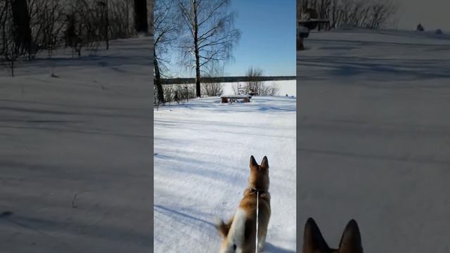 Чёрное озеро зимой смотреть онлайн