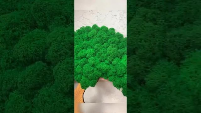 Панно из стабилизированного мха - любые изображения и размеры смотреть онлайн