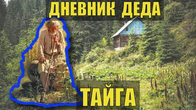 ПРОМЫСЕЛ ДНЕВНИК ДЕДА ДЫМАРЯ ЗИМОВЬЕ СЛУЧАЙ в ЛЕСУ ПАСЕКА ЛЕСНАЯ ИЗБА СУДЬБА ЖИЗНЬ в ТАЙГЕ.mp4 смотреть онлайн