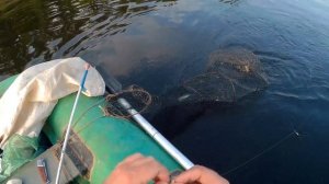 И СНОВА КРУПНЫЙ ЛЕЩ. Ловля леща на кольцо на Волге. Рыбалка с лодки