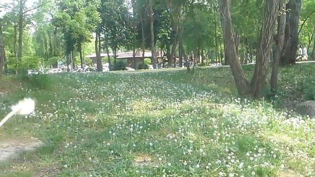 Поход на затон 2 ЧАСТЬ , ищем место для палатки смотреть онлайн