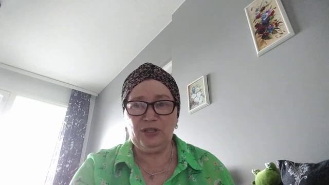 Прогулка по центру и в Скансси, что купила смотреть онлайн