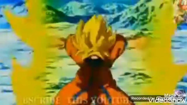 Goku Vs Broly (race)