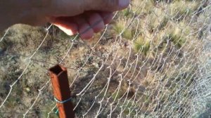 Забор из сетки рабицы своими руками – дешево и сердито! Часть 2/2