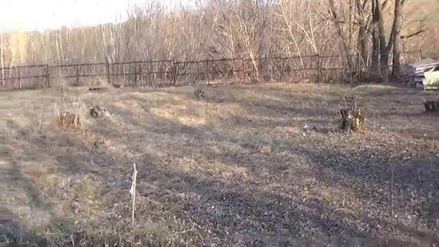 Плантация в апреле смотреть онлайн