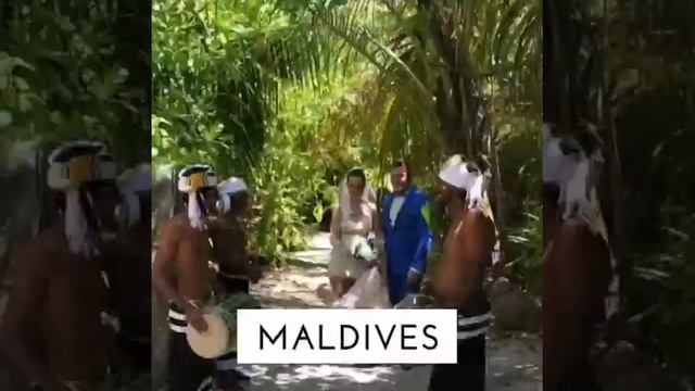 Plumeria Maldives смотреть онлайн