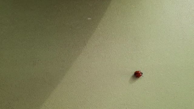 100%Натурально!!!Без стерилизации заготовка КАЛИНЫ на ЗИМУ!Кладезь витаминов на зиму!Viburnum!СТИХи смотреть онлайн