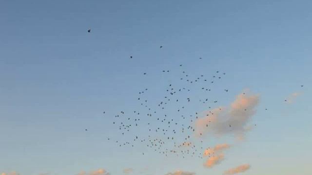 Nice photography video 320 смотреть онлайн