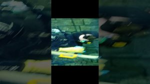 подписывайтесь пожалуйста на канал