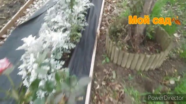 Воплощаю идеи / Доделала ещё одну клумбу / Идеи для сада смотреть онлайн