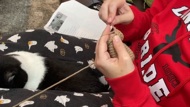 Time Lapse Baby Yoda Crocheted Amigurumi смотреть онлайн