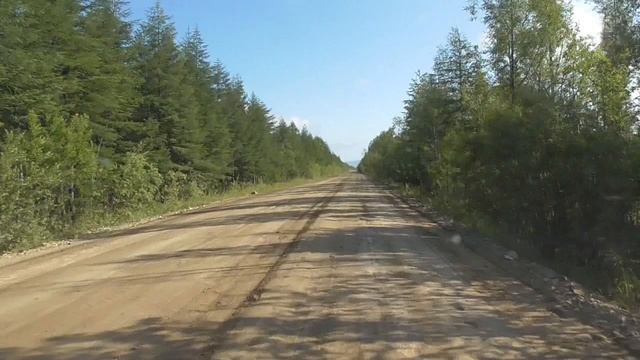 Жимолость в Магадане смотреть онлайн