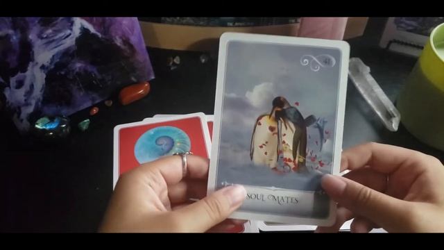 Wisdom of the Oracle Deck Unboxing | First Impressions and Flip Through! смотреть онлайн