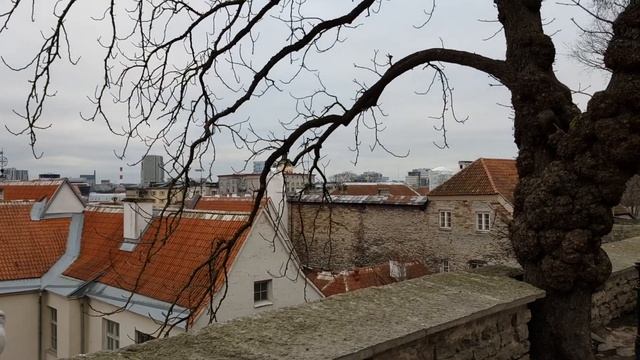 Эстония. Таллин. Пярну. Автопробег. Часть 1. смотреть онлайн