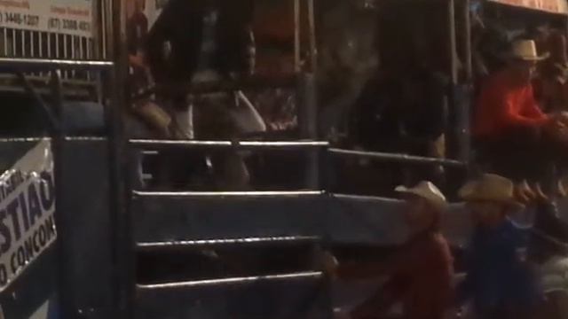 Bruno Carvalho x Adonai cia Beto Maia смотреть онлайн