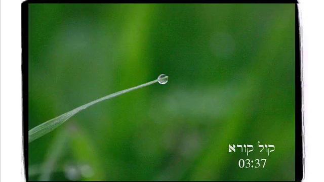 קול קורא смотреть онлайн