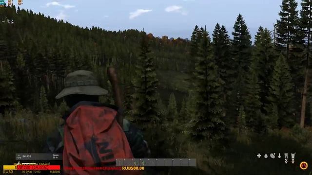 Вечерний DayZ. смотреть онлайн