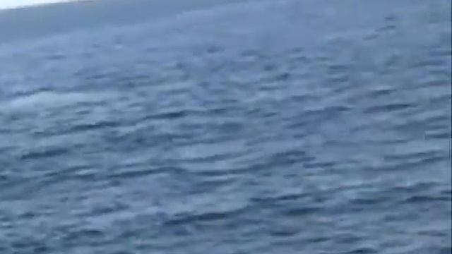 Tales of Whales смотреть онлайн