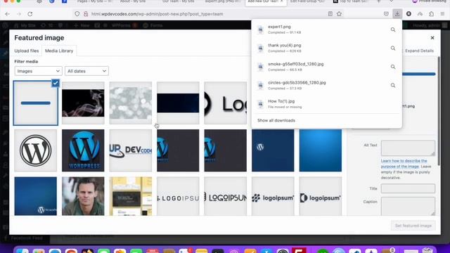 Create a Team Page and Back End Management on WordPress смотреть онлайн