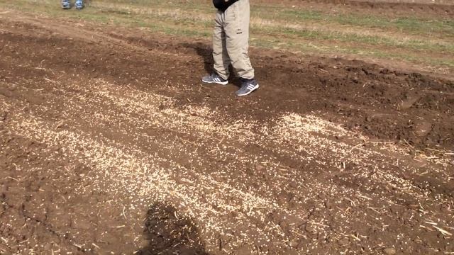 Сеялка Flexi Coil смотреть онлайн