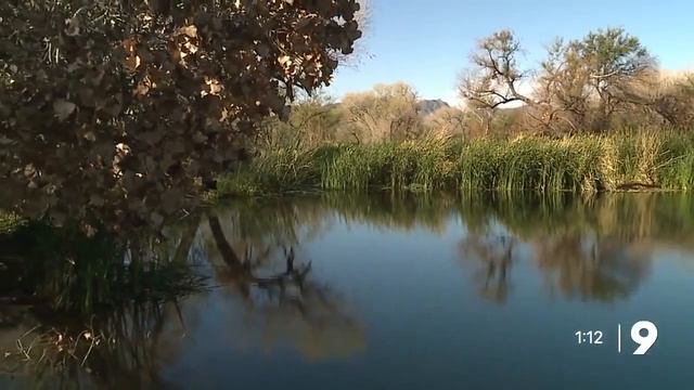 Tucson's reuse of water helps long-term outlook смотреть онлайн