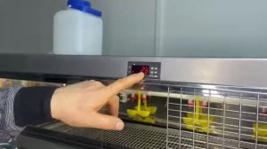 НАСТРОЙКА ТЕРМОРЕГУЛЯТОРА STS-1000✔️