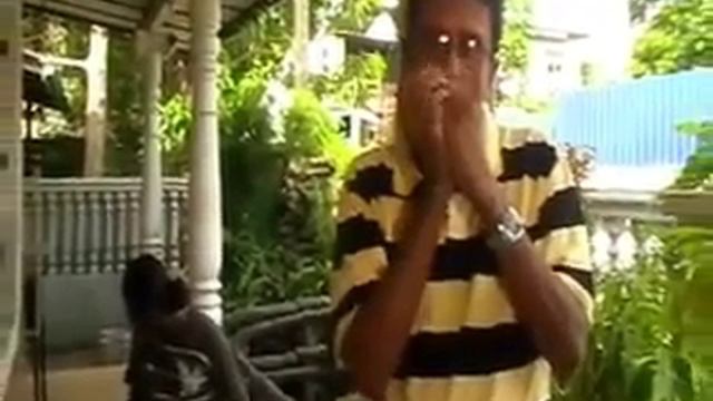 OOLU NELUM NERIYA RANGAALAA - Mouth Organ Music смотреть онлайн