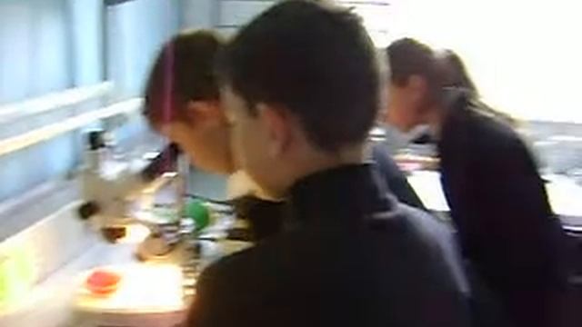 В СЭС на экскурсии смотреть онлайн