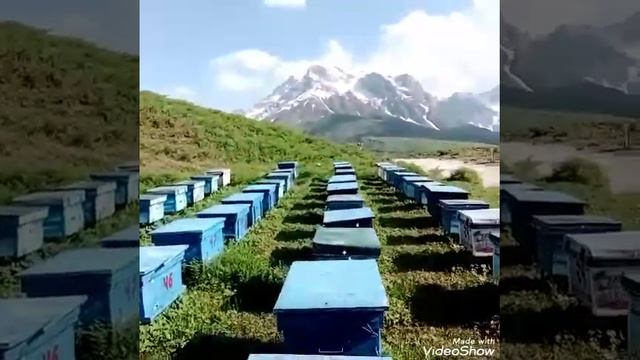 Занбурпарвар дар Куктеппа . смотреть онлайн