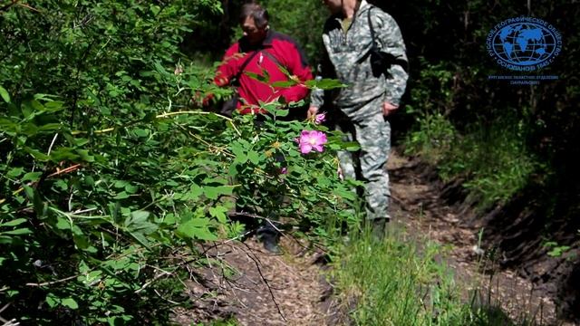 ЗАУРАЛЬЕ - ЭТО ИНТЕРЕСНО! Шедевры природы: "Заповедные места озера Медвежье" смотреть онлайн