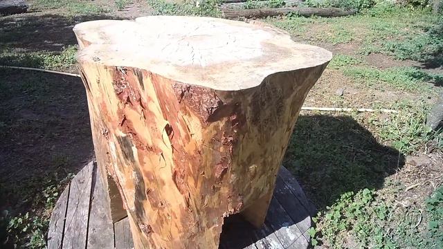 Стол для сада из огромного бревна и кот любящий тень и тишину. смотреть онлайн