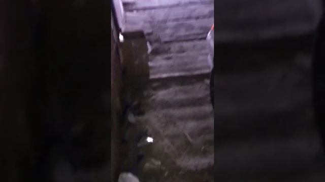 Как запустить ВАЗ 2113-15 без ключа смотреть онлайн