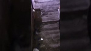 Как запустить ВАЗ 2113-15 без ключа