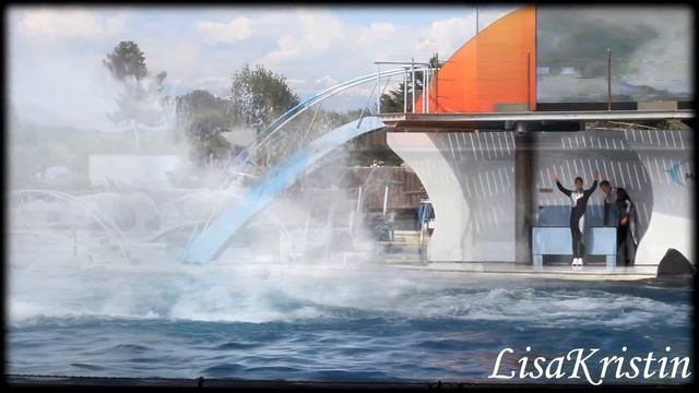 Best of Marineland Antibes - Killer Whales 2014 смотреть онлайн