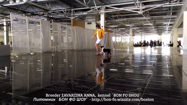 Бон фо Шоу Вся Такая Ах - Сола смотреть онлайн