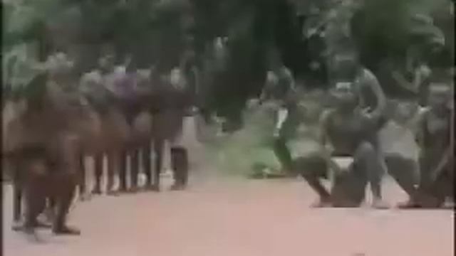 Танцы племеней в Африке смотреть онлайн